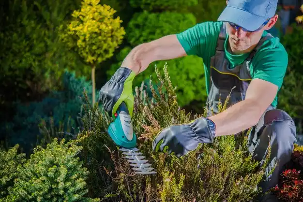 landscaping services Fredericksburg
